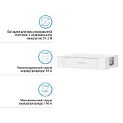 Батарея LiFePo4 Dyness STACK100 S51100 51.2V 100Ah 5.12kWh без BMS (S51100) (UA)
