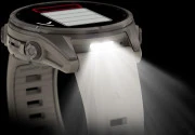 Смарт-часы Garmin Fenix 9 43mm Titanium with Fog Gray Silicone Band (010-04761-00/01)