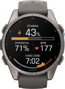 Смарт-часы Garmin Fenix 9 43mm Titanium with Pebble Gray Silicone Band (010-04761-10/11)