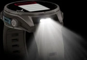 Смарт-часы Garmin Fenix 9 43mm Titanium with Pebble Gray Silicone Band (010-04761-10/11)