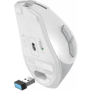 A4Tech FG35C Plus Wireless White (4711421002974) (UA)