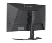 iiyama G-Master GB3295QSU-B1 Gold Phoenix (GB3295QSU-B1) EU