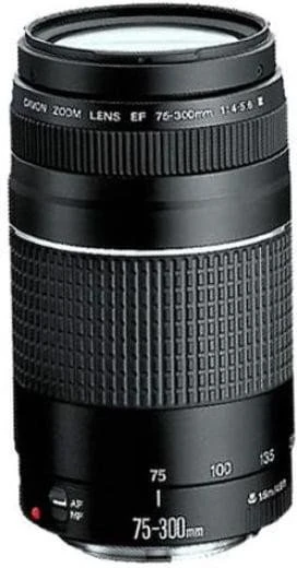 Canon EOS 2000D kit (18-55 + 75-300) (2728C021)