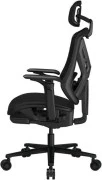 Cougar Speeder Neo Black (UA)