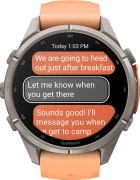 Смарт-часы Garmin Fenix 9 Pro inReach 43mm Titanium with Shell Pink/Autumn Orange Silicone Band (010-04335-00/01)