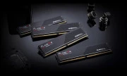 G.Skill 32 GB (2x16GB) DDR5 6000 MHz Flare X5 (F5-6000J2836G16GX2-FX5 )