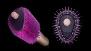 Dyson Airsmooth HB01-A Ceramic Pink/Rose Gold (493078-01)
