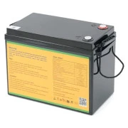 Батарея LiFePo4 Dyness 25,6V 100Ah (80/100A) (Eco-Worthy-251002) (UA)
