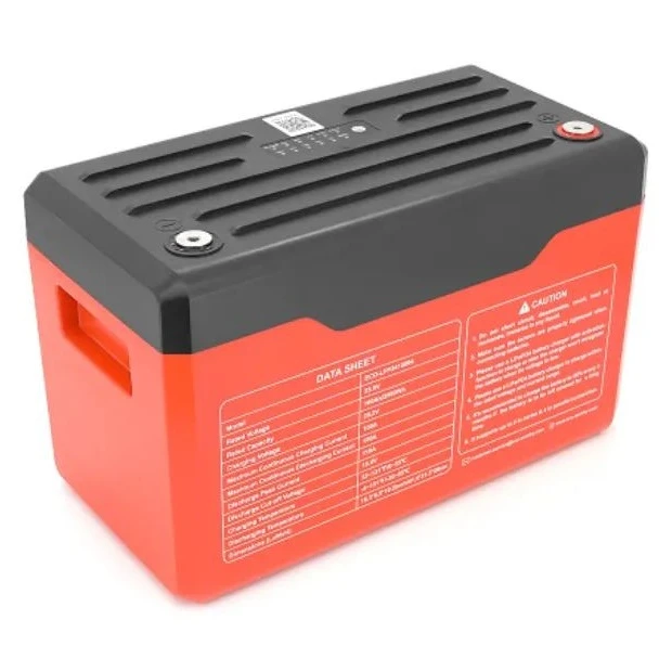 Батарея LiFePo4 Dyness 25,6V 100Ah (100/100A) (Eco-Worthy-251004) (UA)