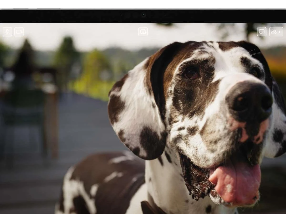 Microsoft Surface Pro X2Elite/16GB/512/W11P OLED Black (EP2-61689) No charging adapter