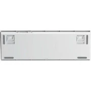 Aula S100pro RGB KRGD Red Switch Wireless/Bluetooth/Type-C UA White/Blue (6948391205762) (UA)