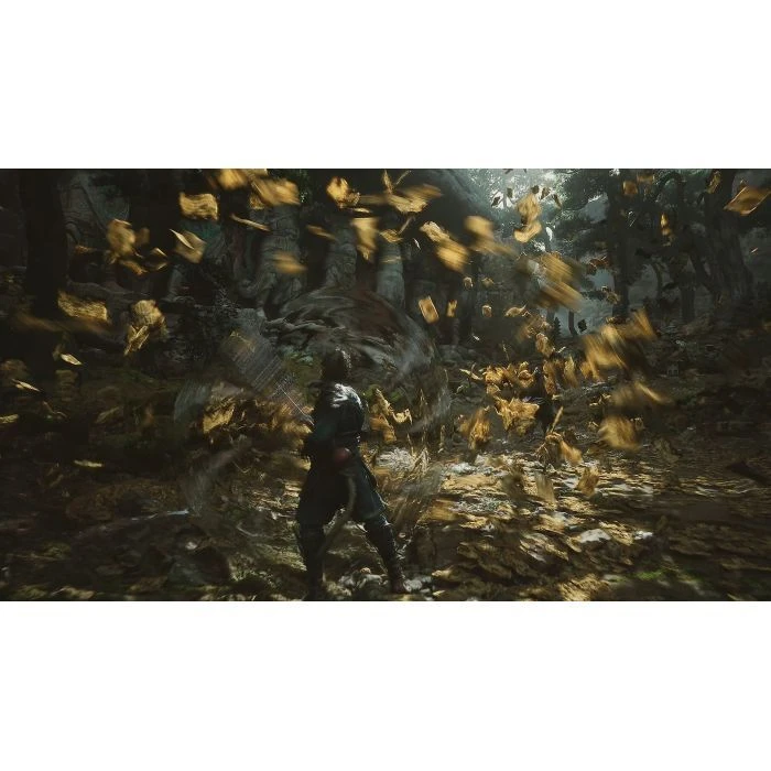 Sony Black Myth: Wukong, BD диск (5056635611864) (UA)