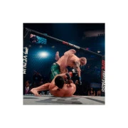 Sony EA Sports UFC 5, BD диск (5908305248255) (UA)