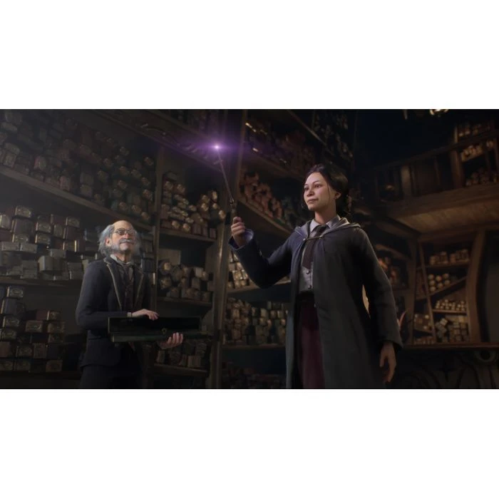 Sony Hogwarts Legacy. Deluxe Edition, BD диск (5051895415412) (UA)