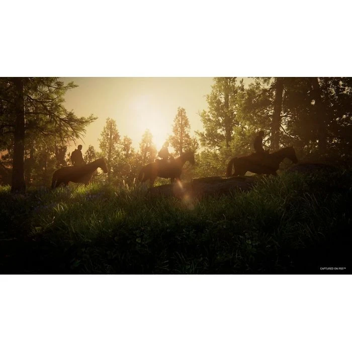 Sony The Last Of Us Part I [PS5, Ukrainian version] (9406792) (UA) Тип: Екшн (Action); Платформа: Sony