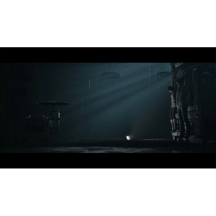Sony UNTIL DAWN, BD диск (1000044321) (UA)