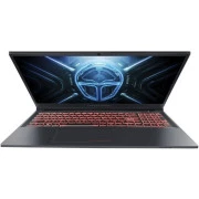 Thunderobot R16 (R16-i9139HX58C1Q300RG) (UA)