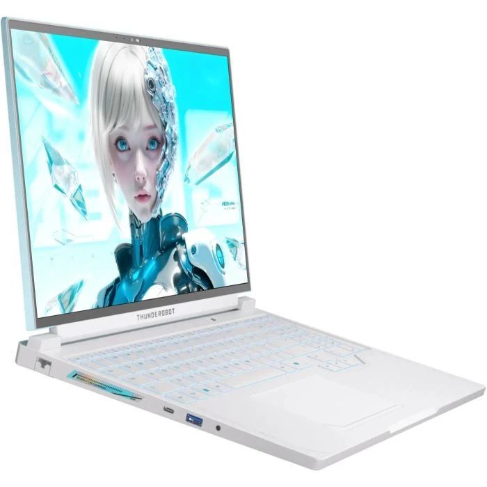 Thunderobot RS16 (RS16-i7136HX56C1Q180RC) (UA) Тип ноутбука: ігровий; Діагональ