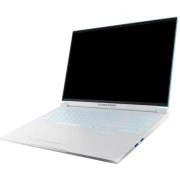 Thunderobot RS16 (RS16-i7136HX56C1Q180RC) (UA)