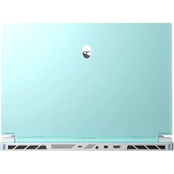 Thunderobot RS16 (RS16-i7136HX56C1Q180RC) (UA) Тип ноутбука: игровой; Диагональ