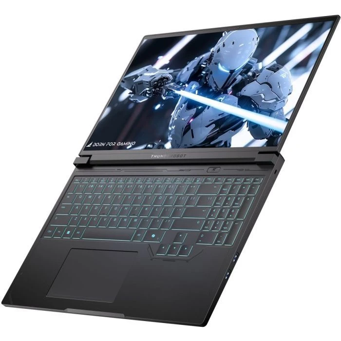 Thunderobot RS16 (RS16-i9139HX57TC1Q240ARB16) (UA) Тип ноутбука: игровой; Диагональ