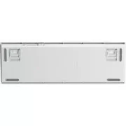 Aula S100pro RGB KRGD Red Switch Wireless/Bluetooth/Type-C UA White/Blue (6948391205762) (UA)