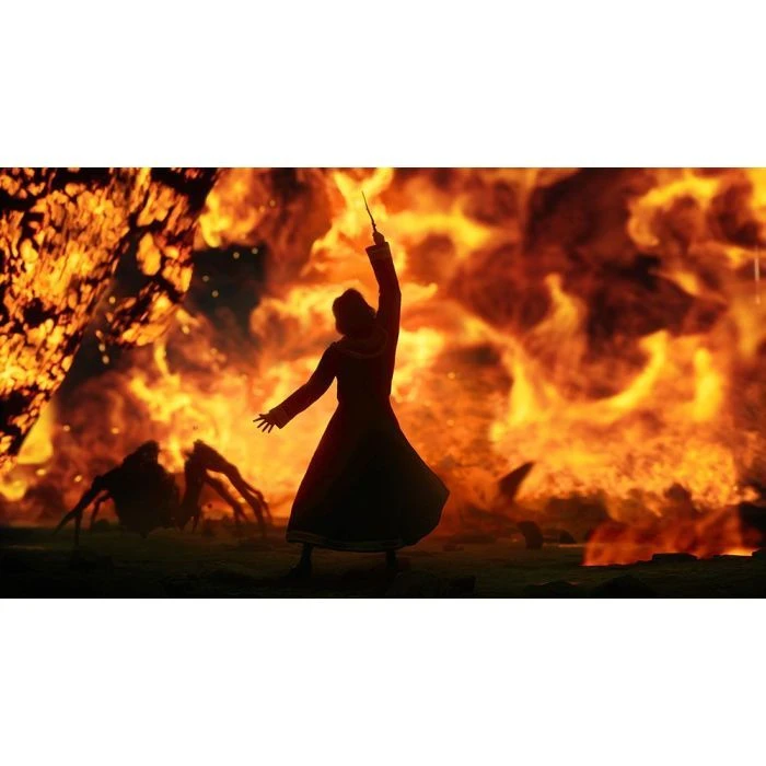 Nintendo Hogwarts Legacy Deluxe Edition, картридж (5051895415597) (UA)