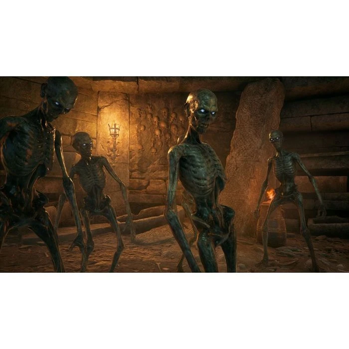 Nintendo Hogwarts Legacy Deluxe Edition, картридж (5051895415597) (UA)