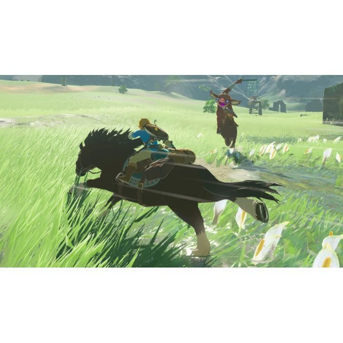 Nintendo The Legend of Zelda: Breath of the Wild, картридж (045496420055) (UA)