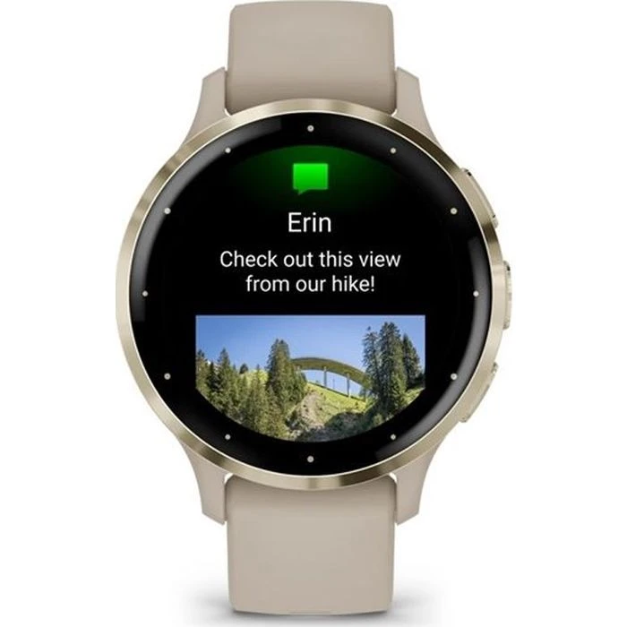 Смарт-годинники Garmin Venu 3S, French Gray + Soft Gold, GPS (010-02785-02) (UA)
