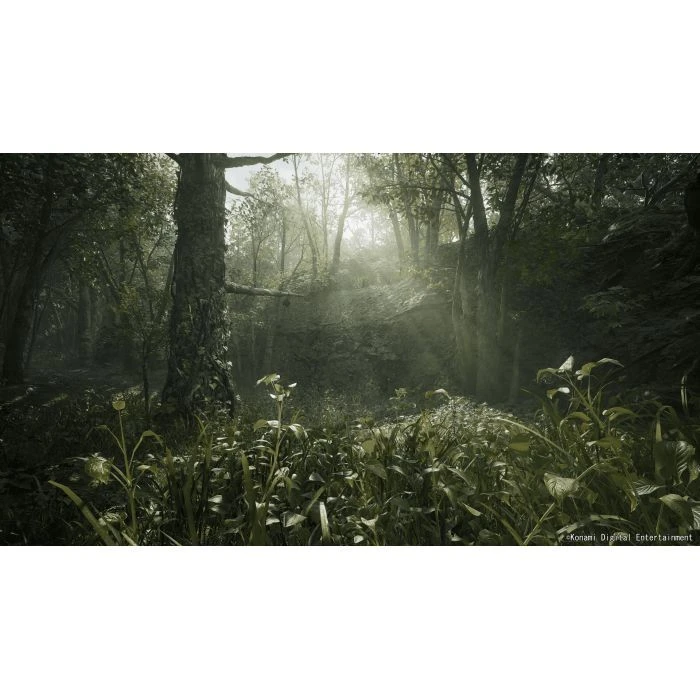 Sony Metal Gear Solid Delta: Snake Eater Day 1 Edition, BD диск (4012927150856) (UA)