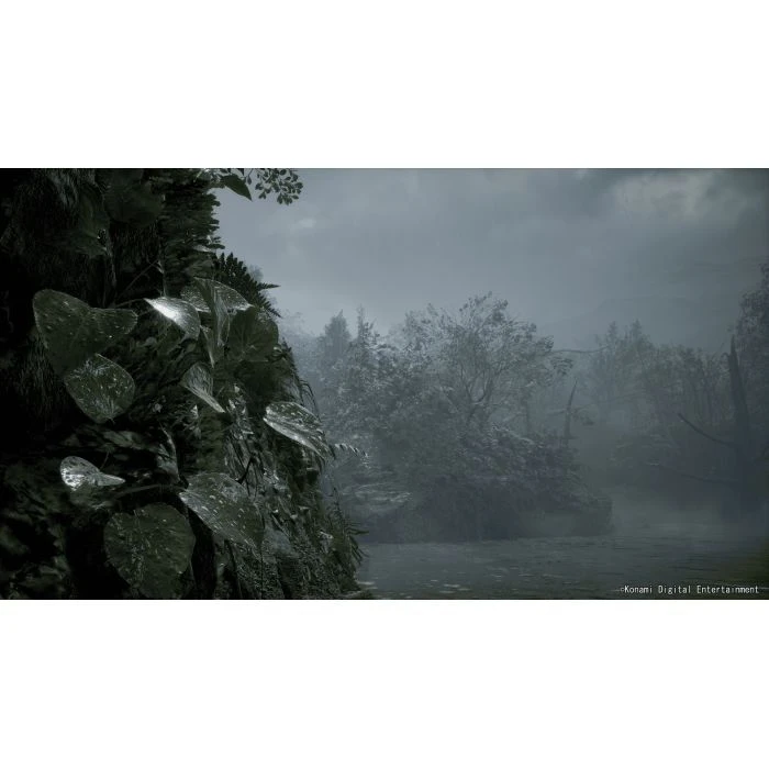 Sony Metal Gear Solid Delta: Snake Eater Day 1 Edition, BD диск (4012927150856) (UA)