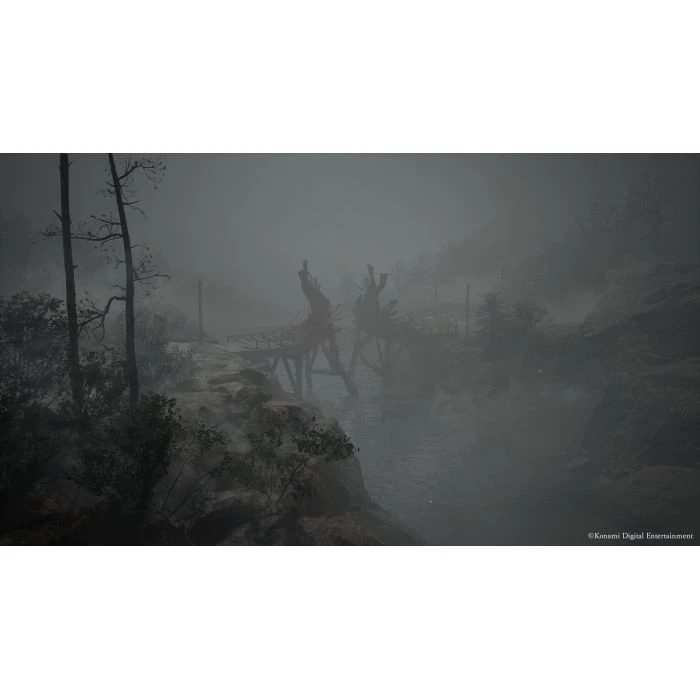 Sony Silent Hill f, BD диск (4012927151617) (UA)