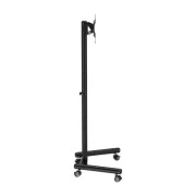 Стойка презентационная ITech FS62-22TW (UA)