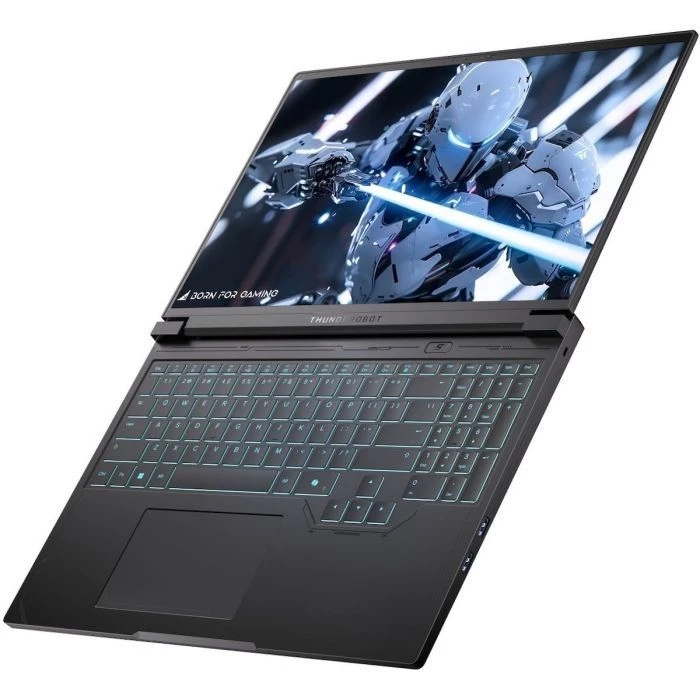 Thunderobot RS16 (RS16-i9139HX57C1Q240ARB) (UA)