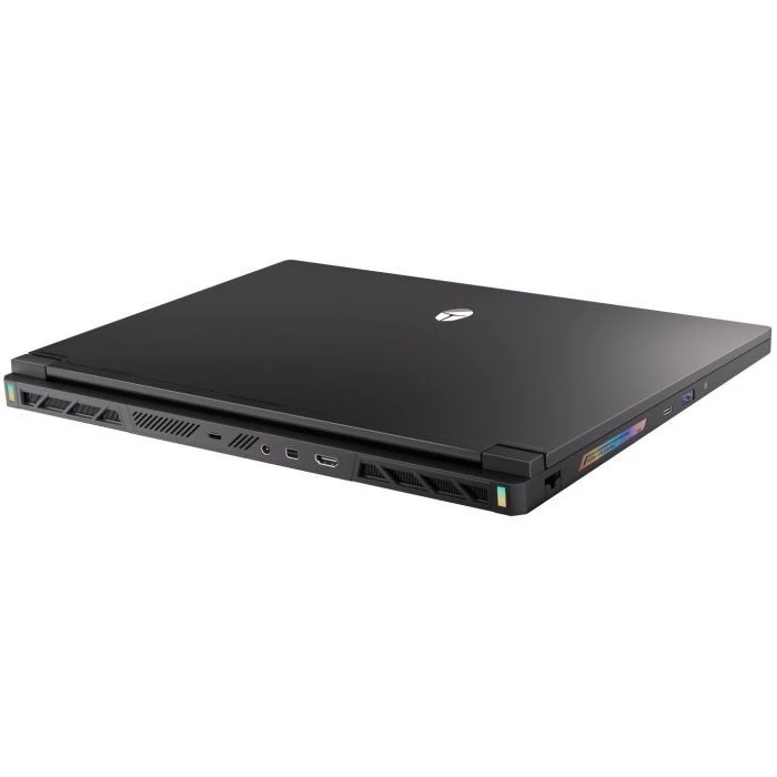 Thunderobot RS16 (RS16-i9139HX57TC1Q240ARB16) (UA)