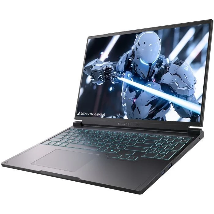 Thunderobot RS16 (RS16-i9139HX57TC1Q240ARB16) (UA) Тип ноутбука: ігровий; Діагональ