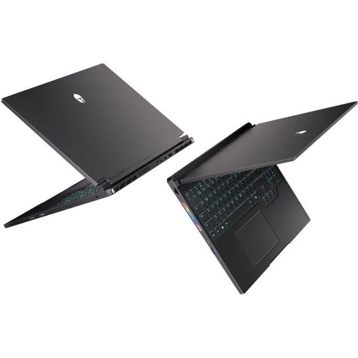 Thunderobot RS16 (RS16-i9139HX57TC1Q240ARB16) (UA)