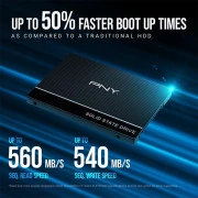 PNY CS900 500 GB (SSD7CS900-500-RB)