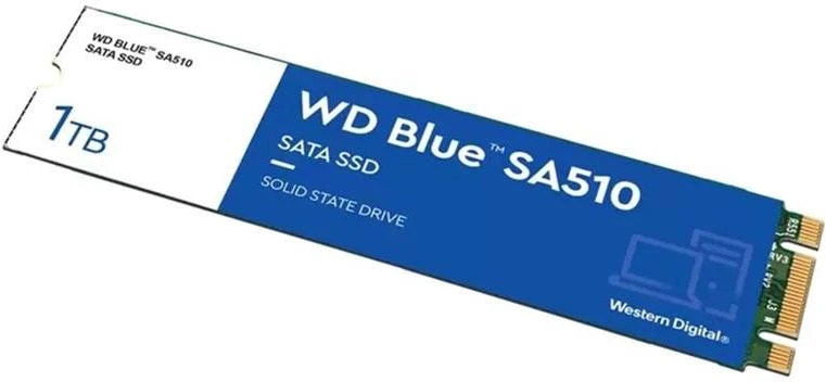 WD Blue SA510 M.2 1 TB (WDS100T3B0B)