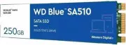 WD Blue SA510 M.2 250 GB (WDS250G3B0B)