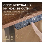 Компьютерный стол Sihoo D03 Walnut/Black (D03-104/D03-108) (UA)