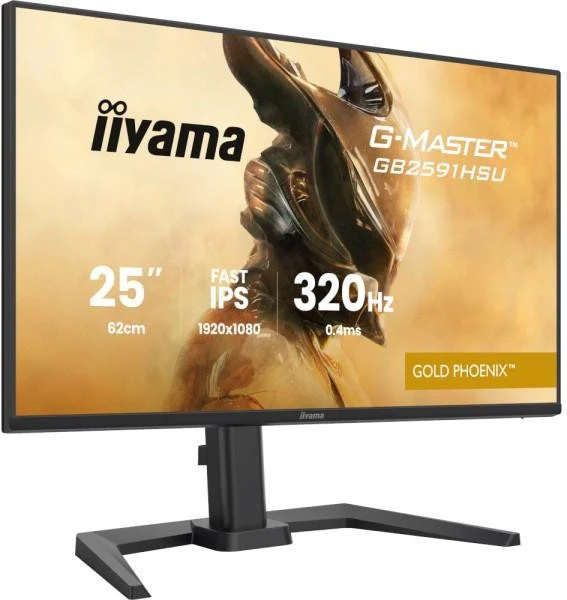 iiyama GB2591HSU-B1 (UA)