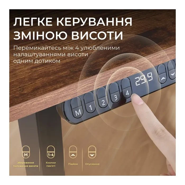 Компьютерный стол Sihoo D03 Walnut/Black (D03-104/D03-108) (UA)