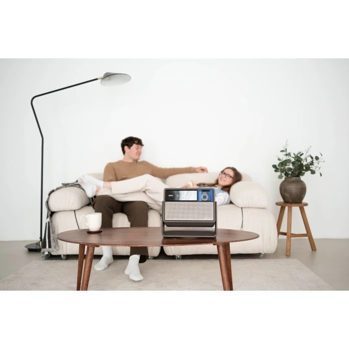 XGIMI Horizon 20 (XR13A) (UA)