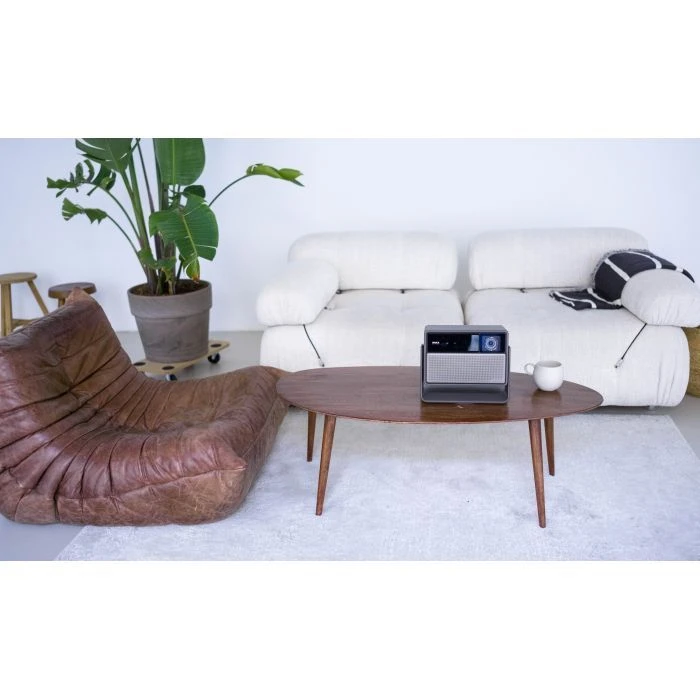 XGIMI Horizon 20 (XR13A) (UA)