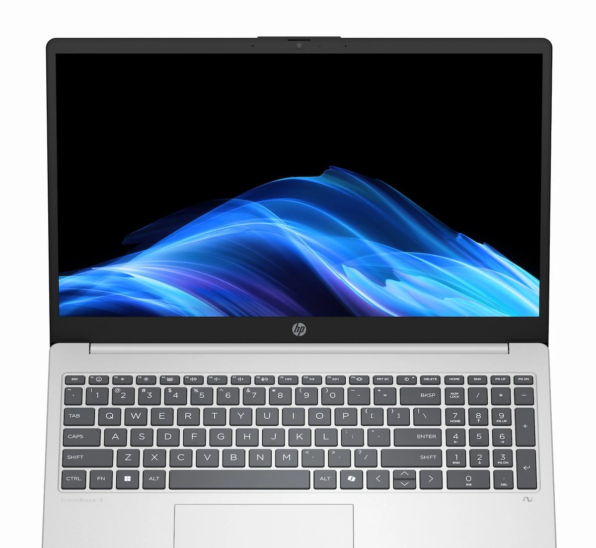 HP OmniBook 3 15-fn0000 [15-fn0017ua] (D16GWEA) (UA)