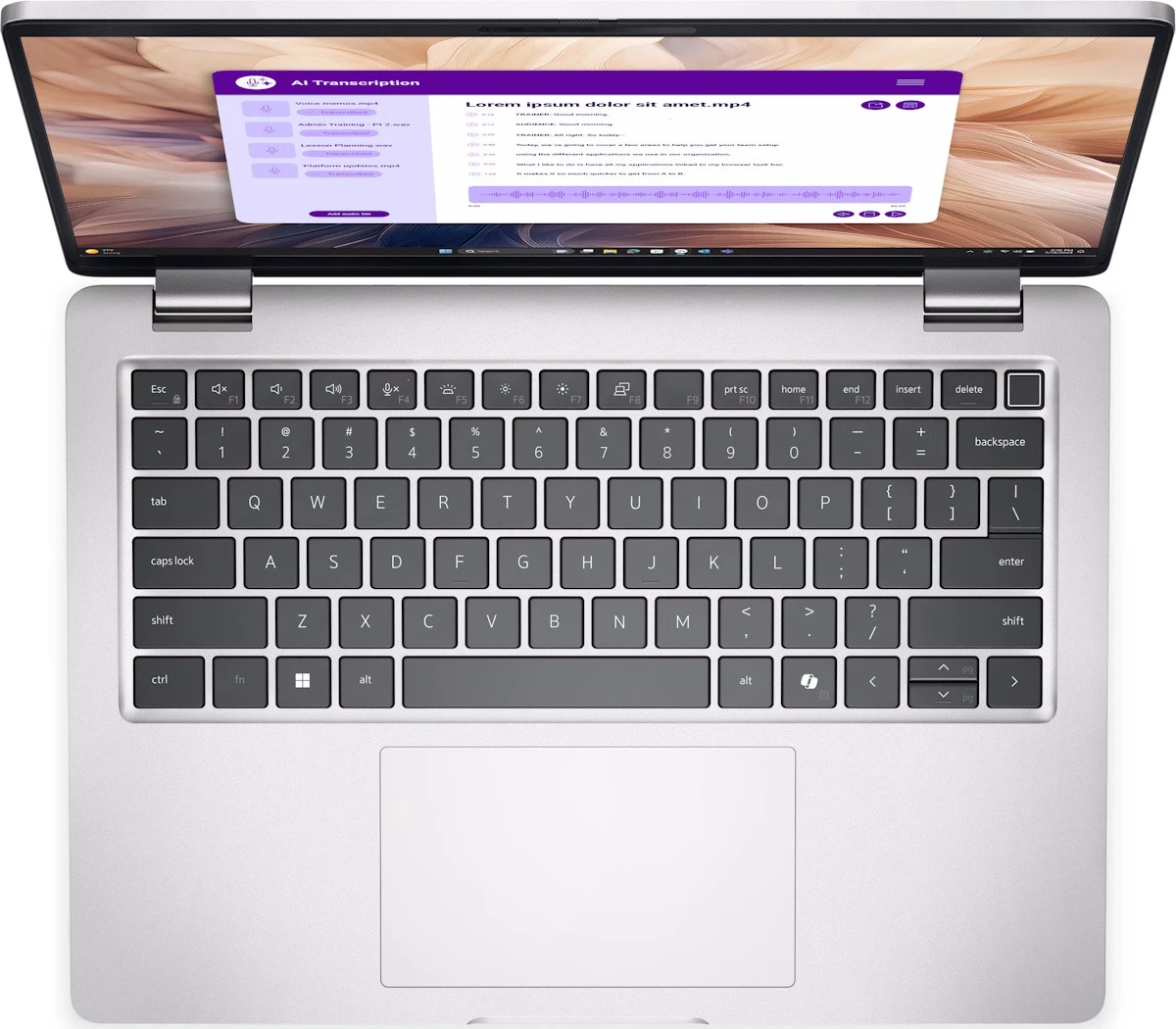 Dell Pro 14 Plus PB14250 [210-BPDN-ERC26] (UA)
