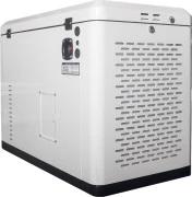 Електрогенератор EnerSol ENNG-13000TATS (UA)