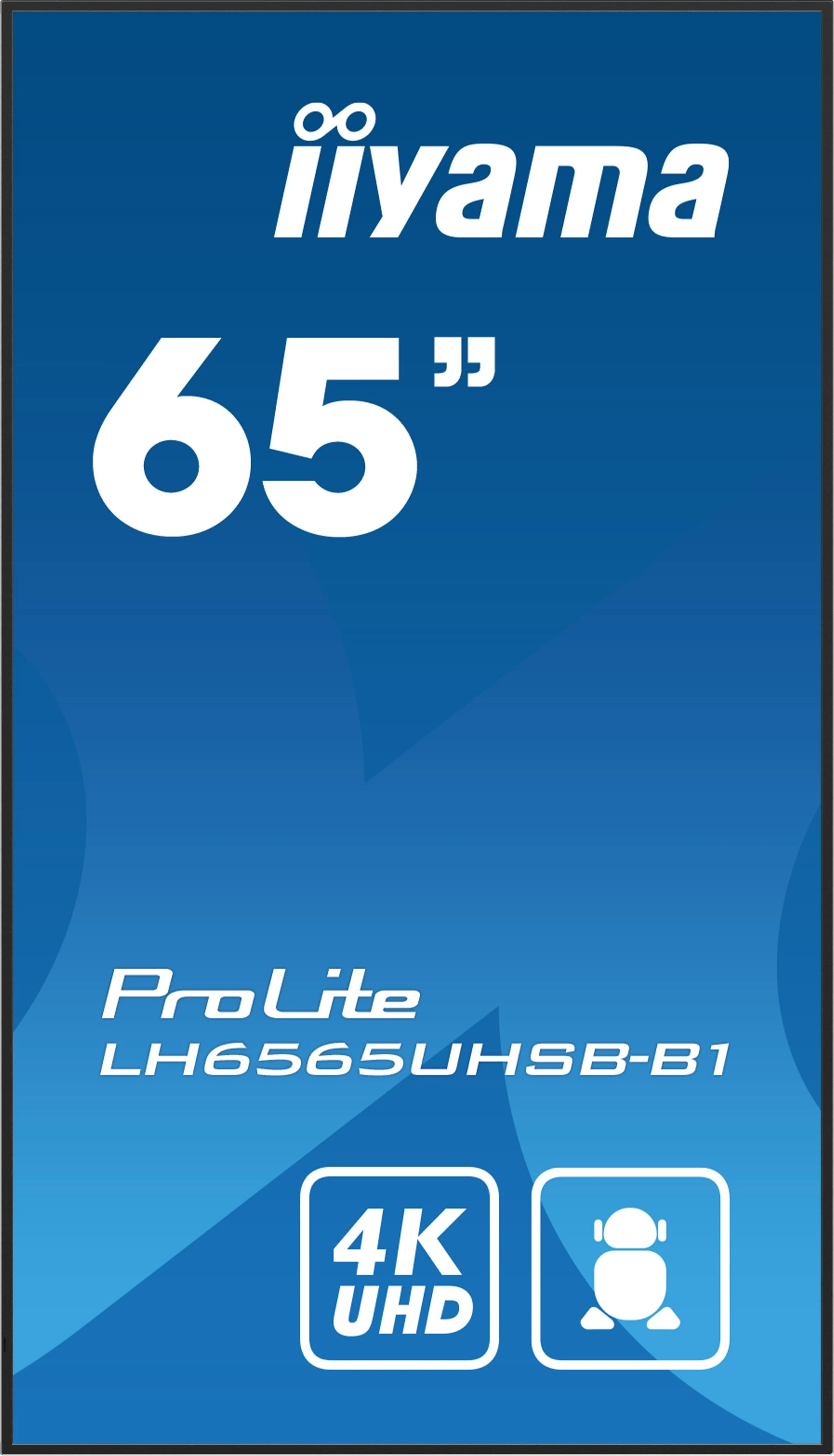 Iiyama ProLite LH6565UHSB-B1 64.5 